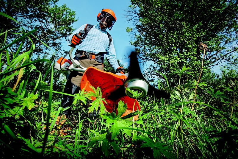 Environmentally Conscious Gardening