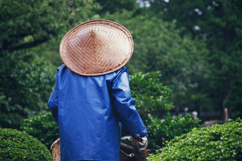 Environmentally conscious gardening